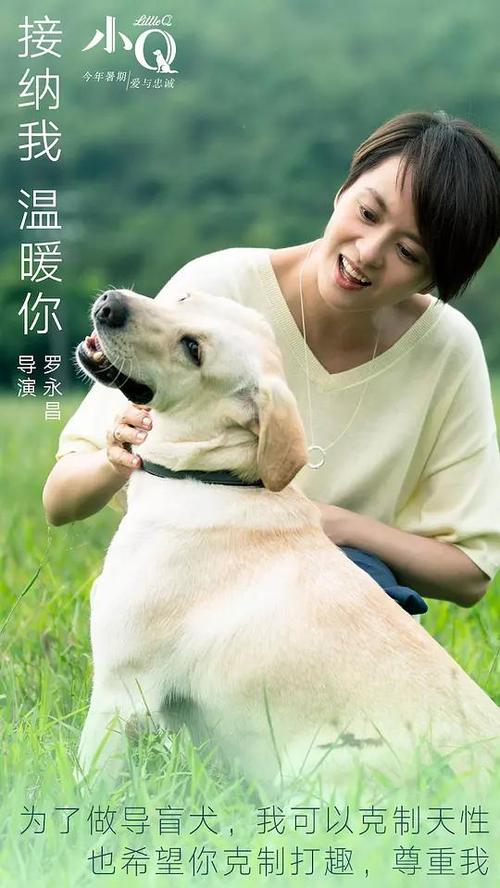 辅修学位证书国家承认吗